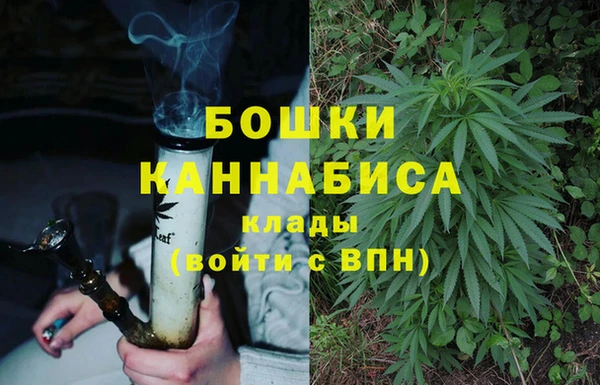 винт Баксан